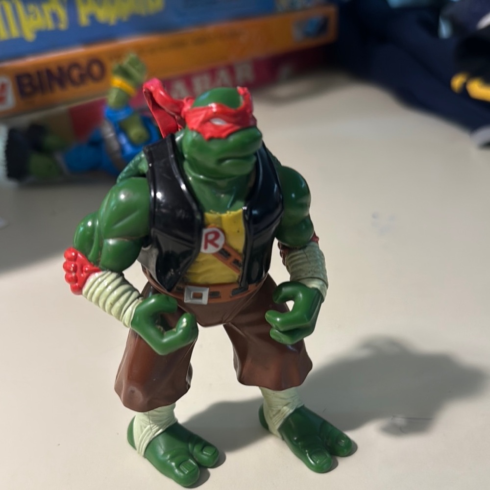 Ninja turtle